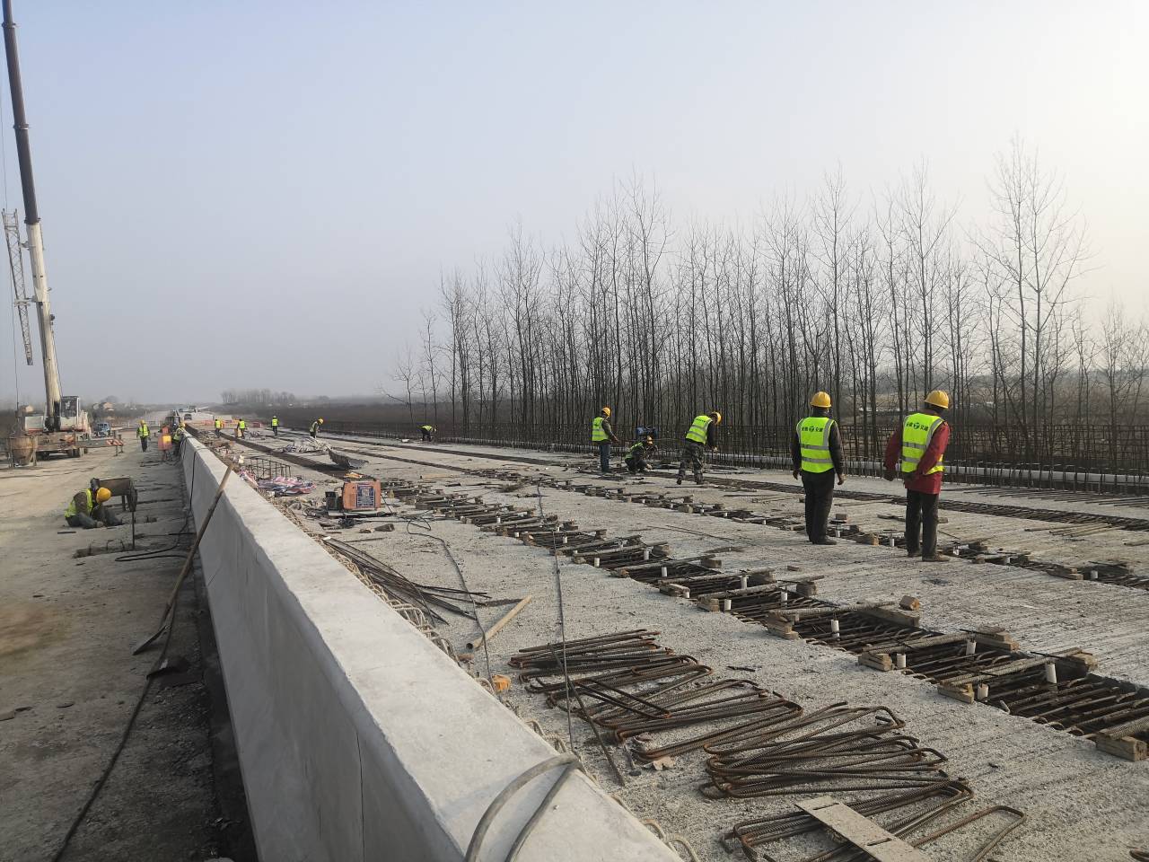 1584005256118642.jpg 1.jpg