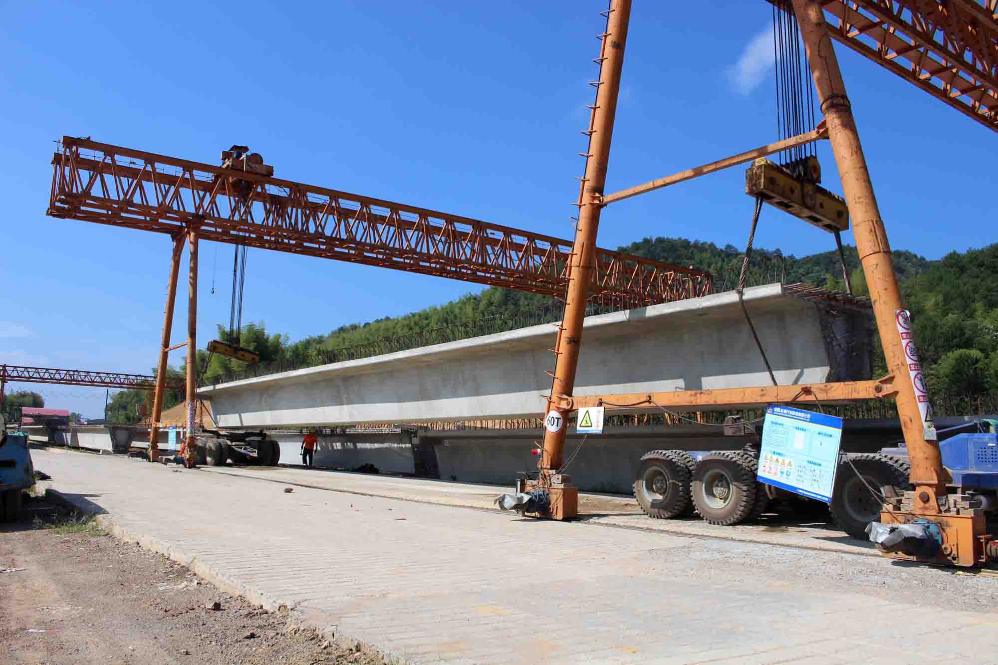 1503906303917738.jpg 2.jpg