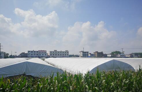 1630983414638548.jpg 圖片4.jpg