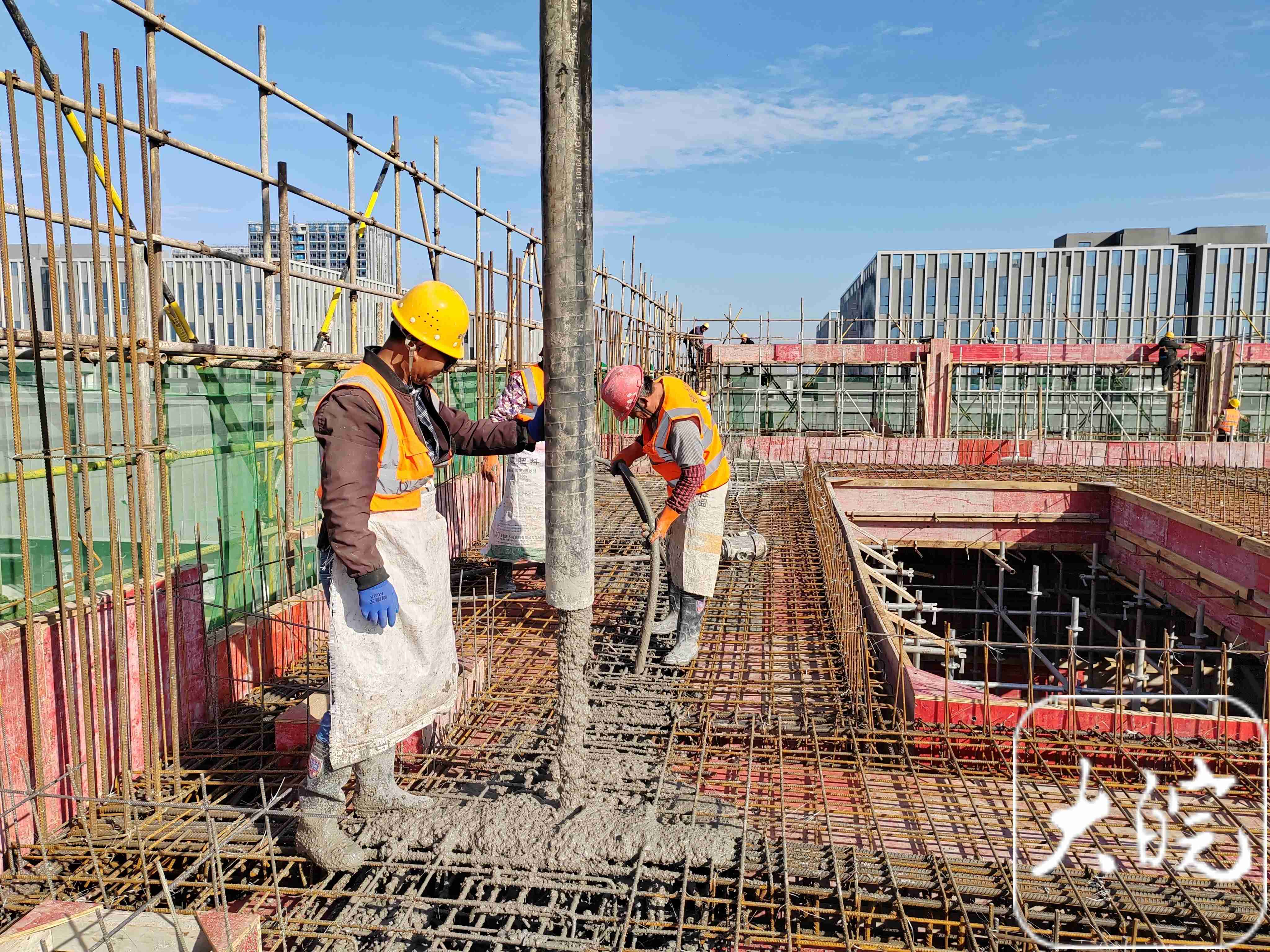 1729557149319398.jpg 大皖新聞22.jpg