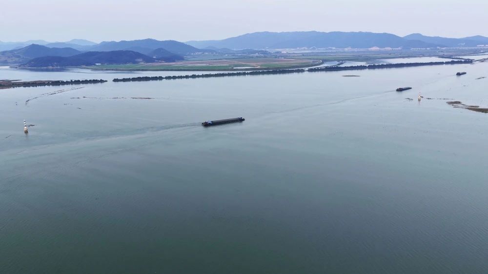 1754464020913908.jpg 2.jpg