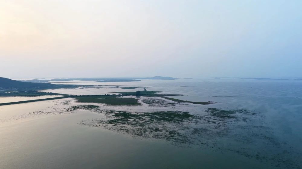 1754464029546073.jpg 3.jpg