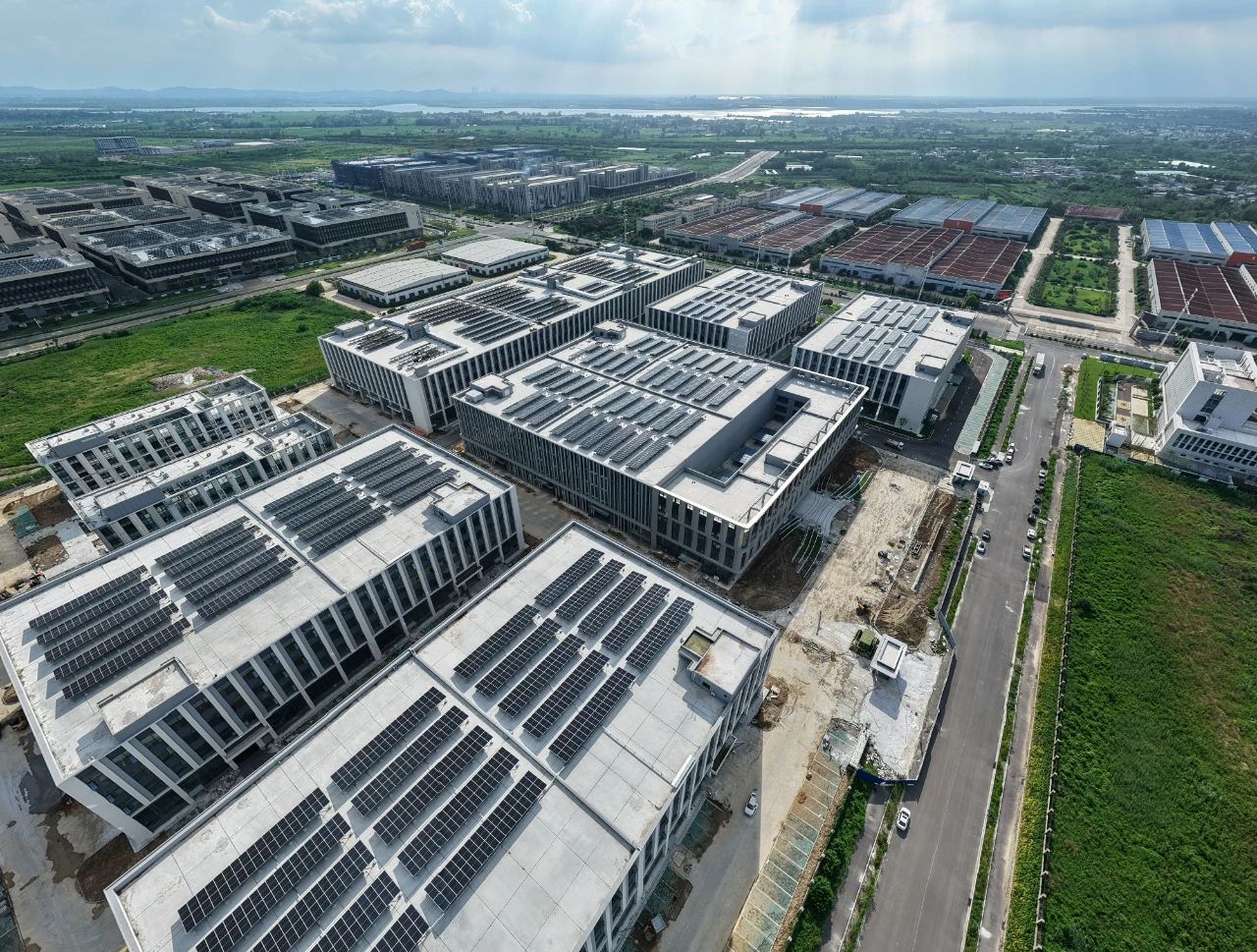 1755483174708303.jpg 5.jpg