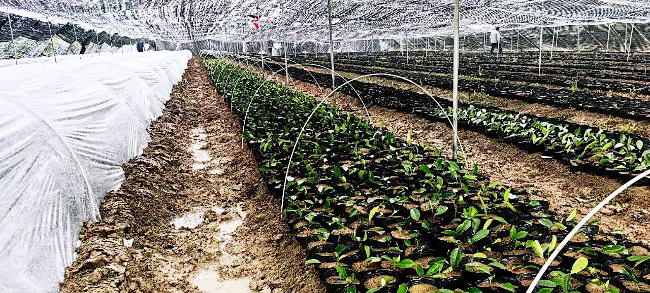 1757474460895964.jpg 8.jpg