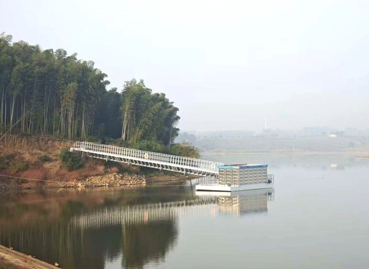 1763599642545083.jpg 3.jpg