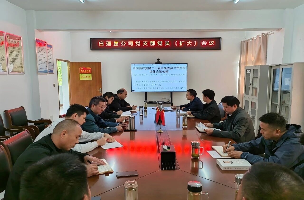 1764205532116560.jpg 444444.jpg