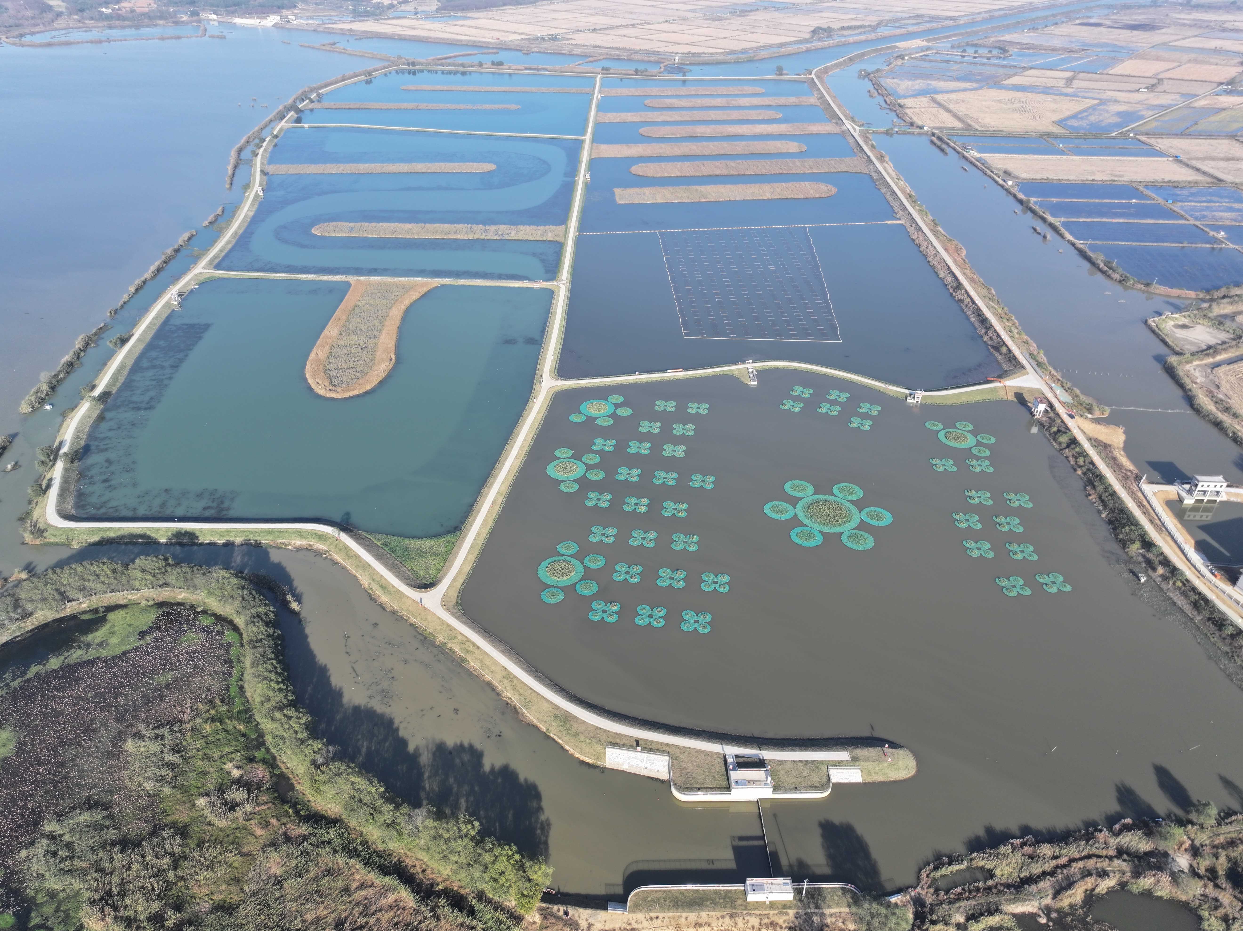 1765502307493402.jpg 01.jpg