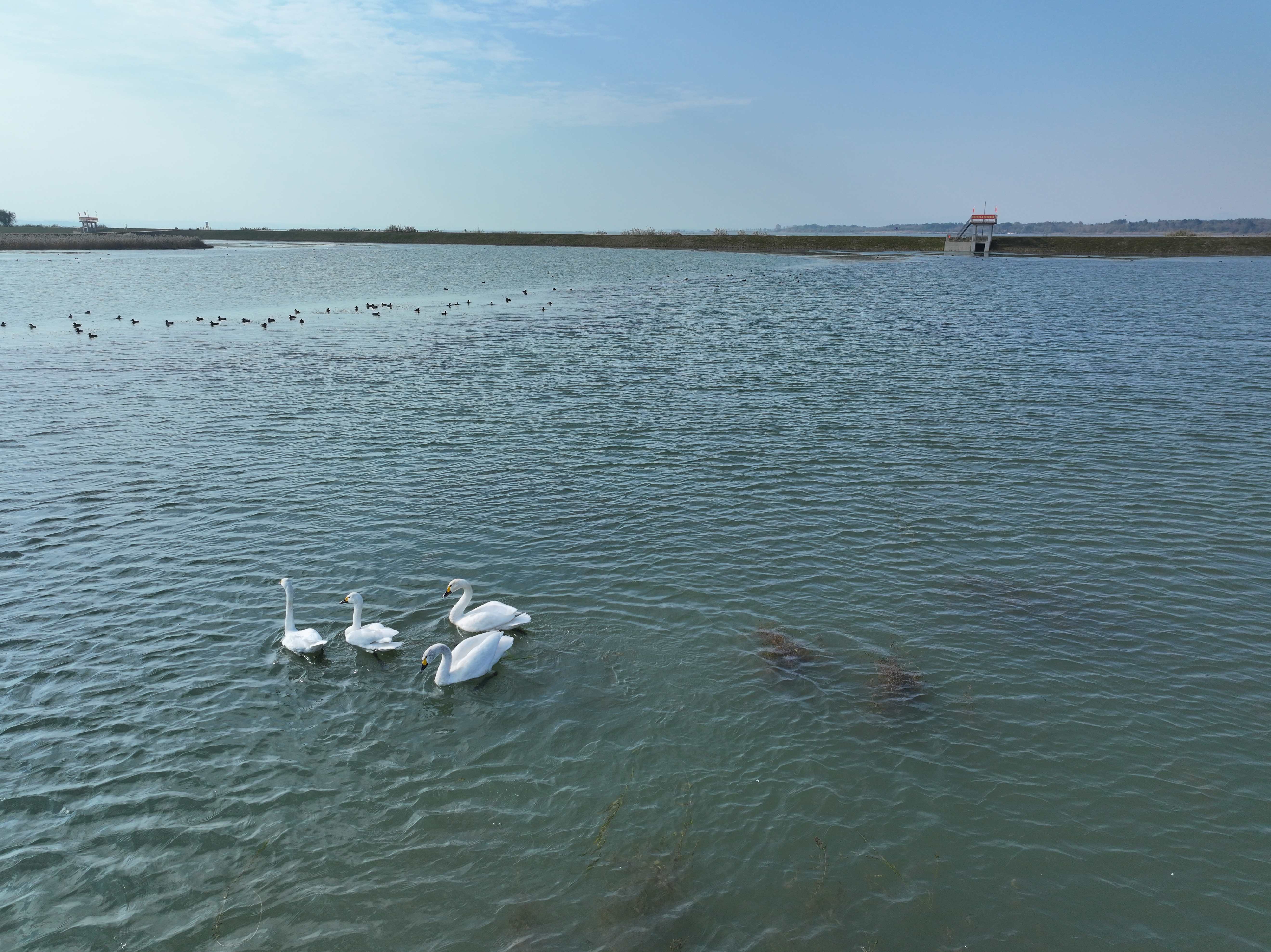 1765502324396709.jpg 02.jpg