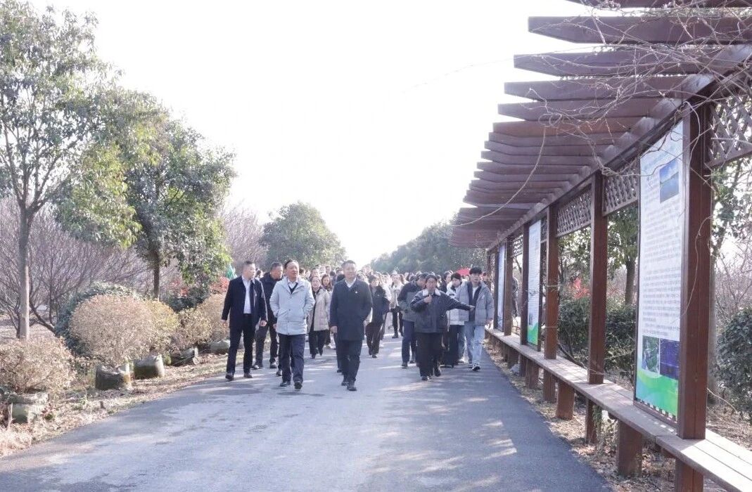 1768178020706581.jpg 1768178020706581.jpg